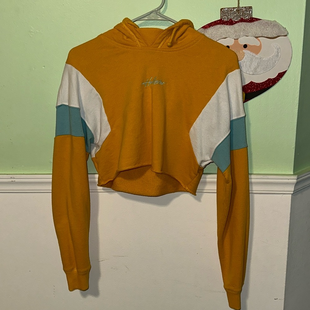 Hollister crop hoodie